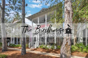 The Birdhouse in Luxury Watercolor Brand New 6 Seat Golf Cart